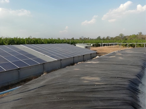 農(nóng)業(yè)光伏